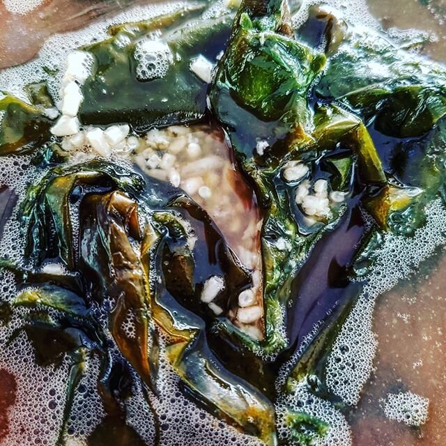 #coffee #kombu #mirin spin! The aroma is crazy! Used @kimwejendorp's carrot scrap mirin recipe in #kojiachemy as a guideline. Thanks to @the_chef__errant for sharing local #kelp from @stoningtonkelpco. 🌊☕ #kojibuildscommunity