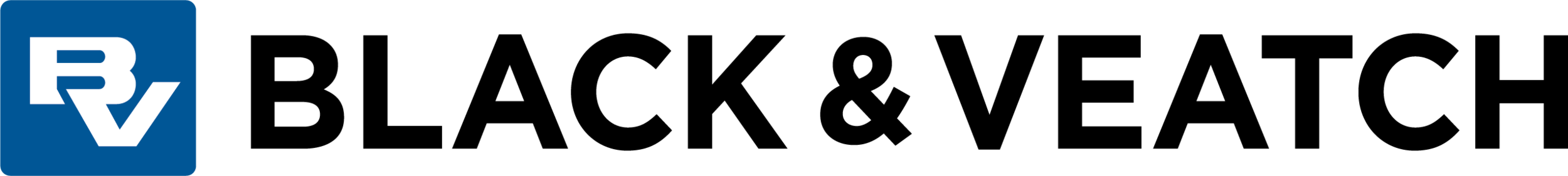 B&V Dinner Sponsor.jpg