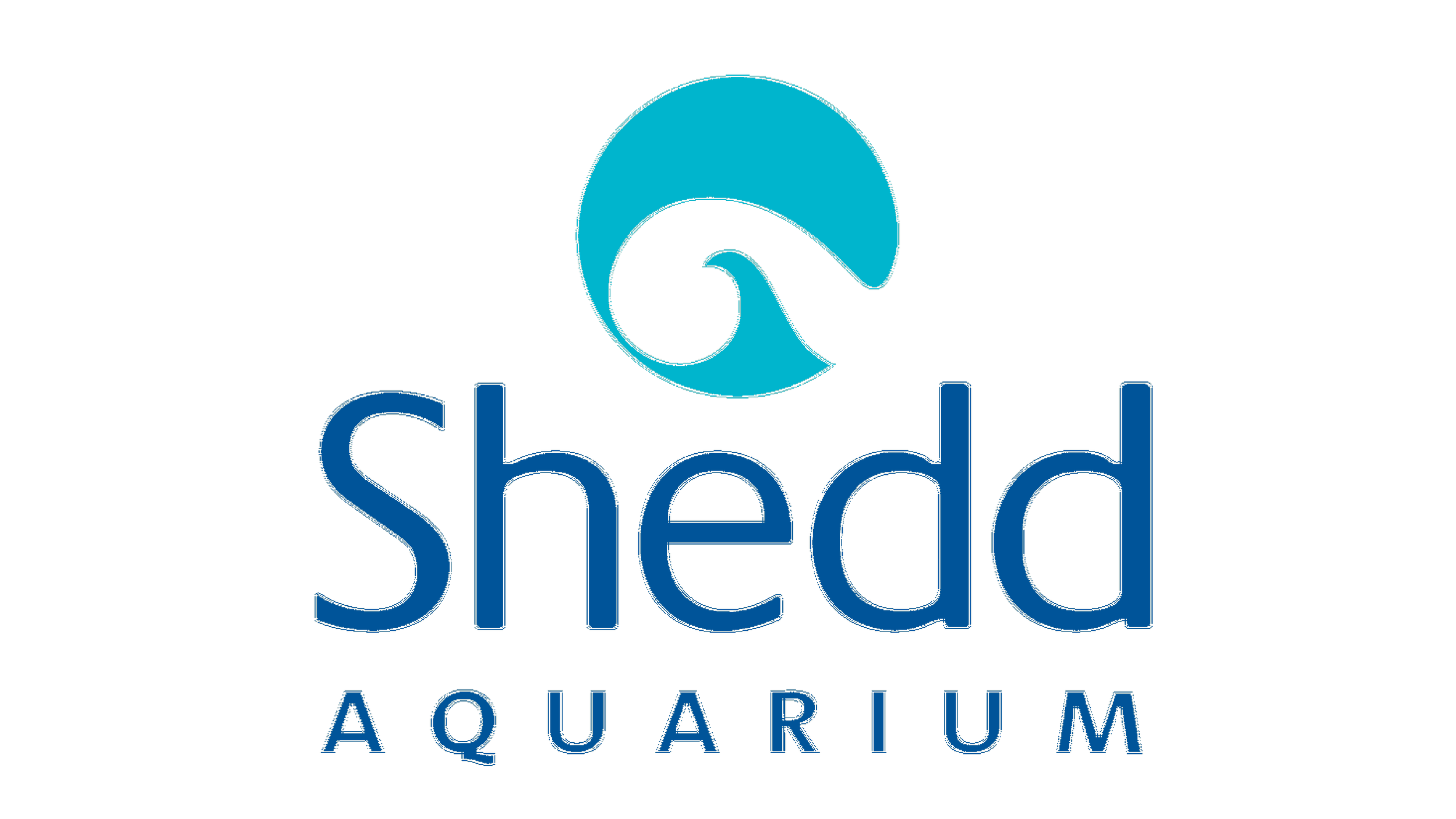 Shedd.png