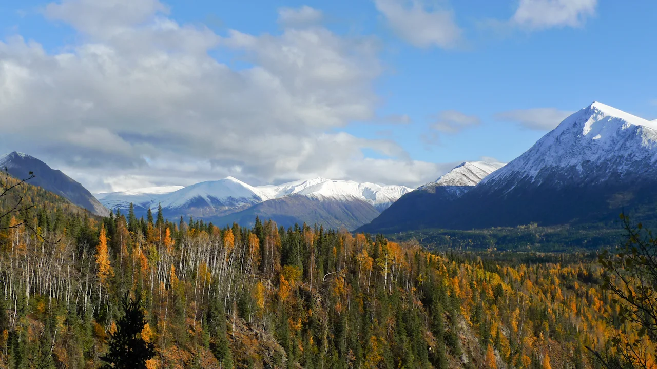 101004_Trout_and_back_024.jpg