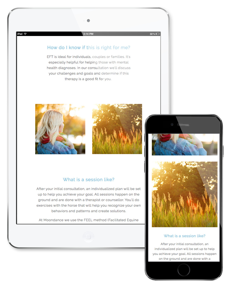 Moondance_portfolio_9.png