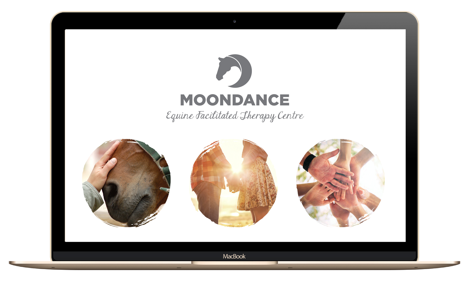 Moondance_portfolio_14.png