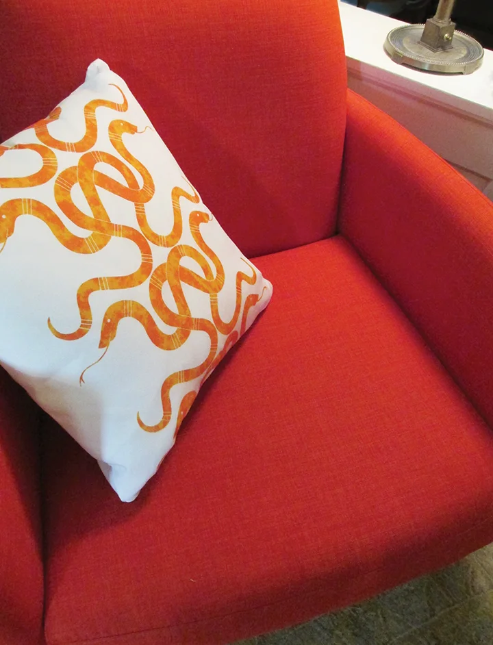 SnakeWare Orange on White Pillow on Chair.72.jpg