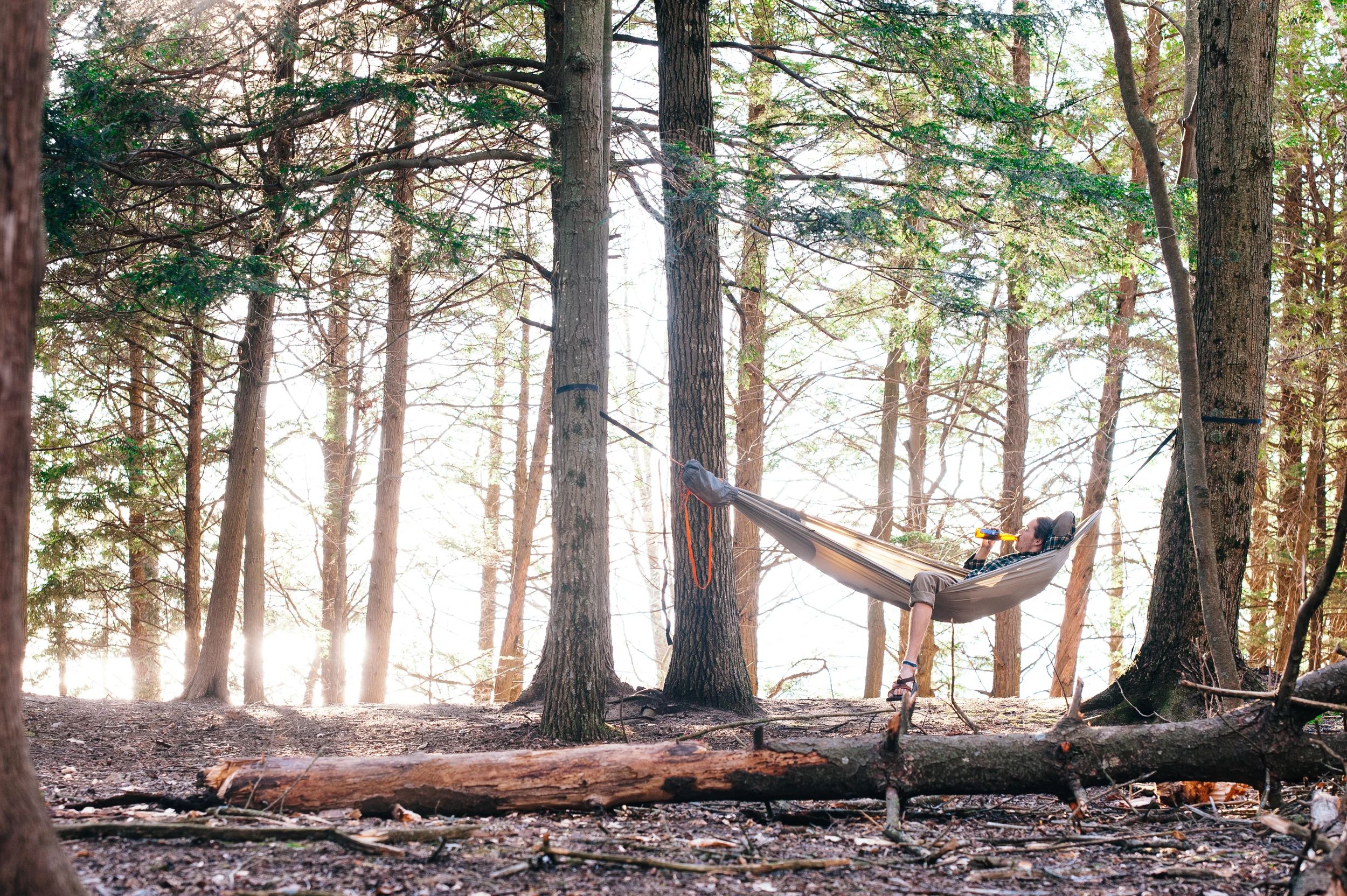 Rapid Hammock