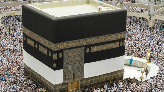 Untitled design(7).png