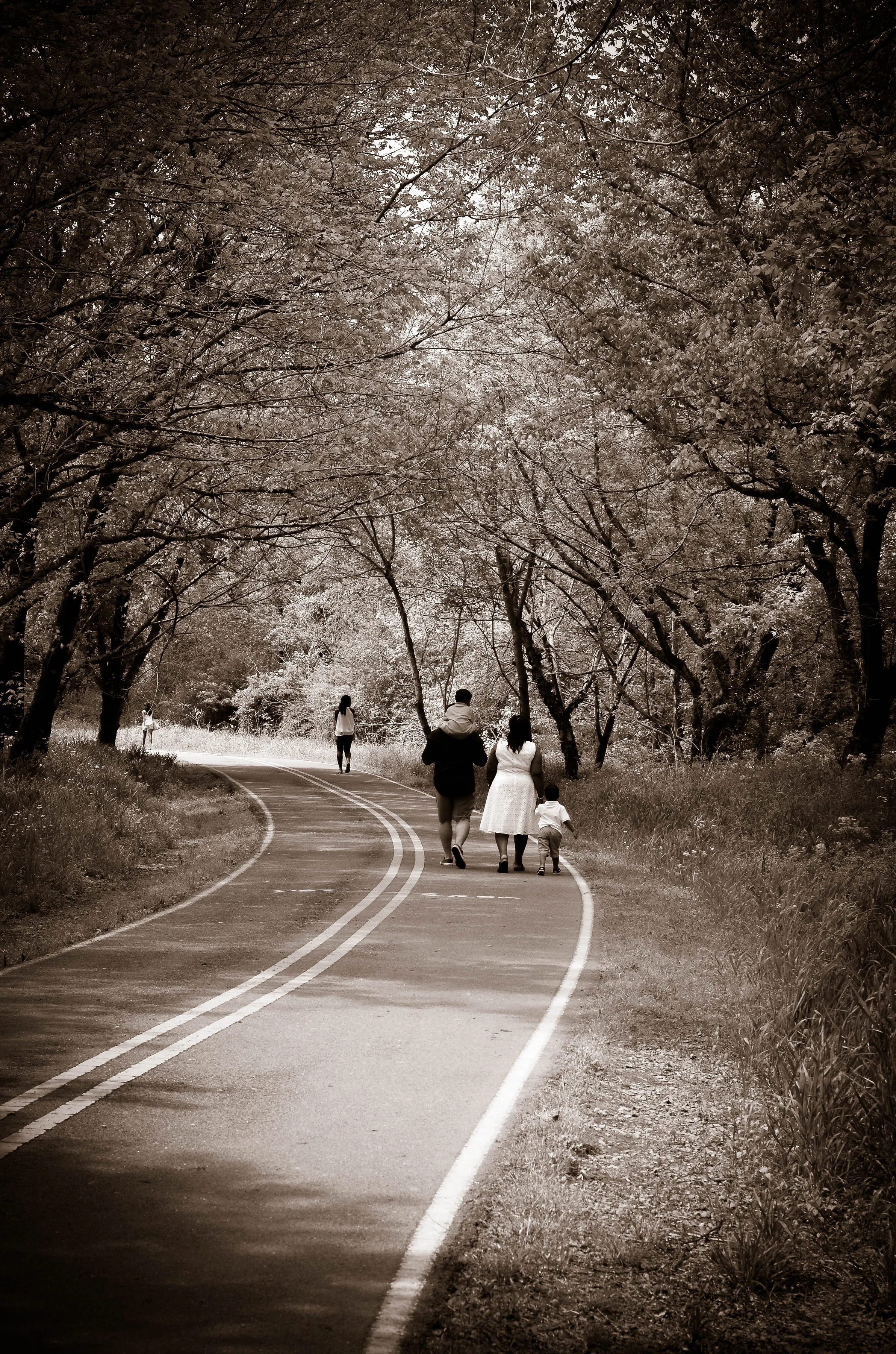 DSC_0260.jpg