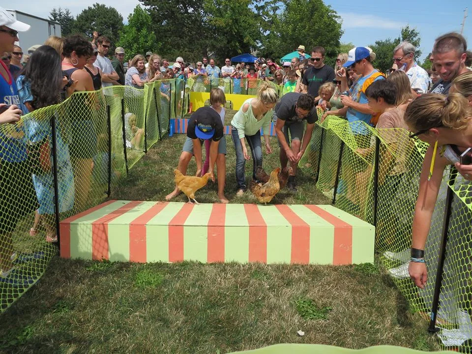chickenrace1.jpg