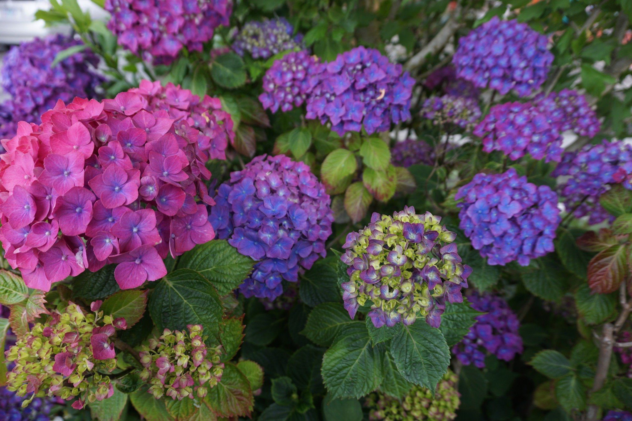 🌱👨&zwj;🌾 Have you been getting your hands dirty? Are you sowing the seeds for a bountiful and gorgeous garden? 🏵️🌸 Does your backyard just serve up ✨vibes✨? We want you! 🙋&zwj;♀️

One takeaway from our 2023 Stomp survey, is that Stompers wanted