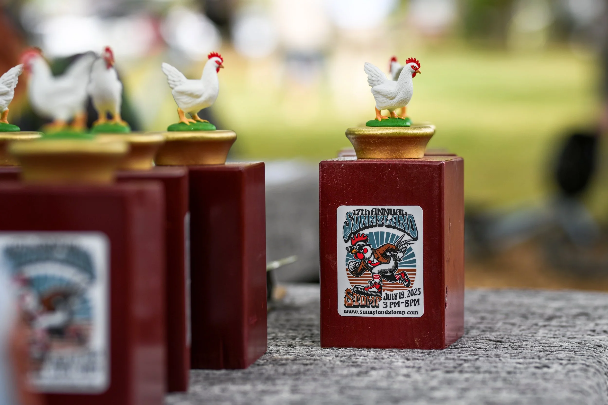 Sunnyland Stomp 2025 Chicken Race-21.jpg