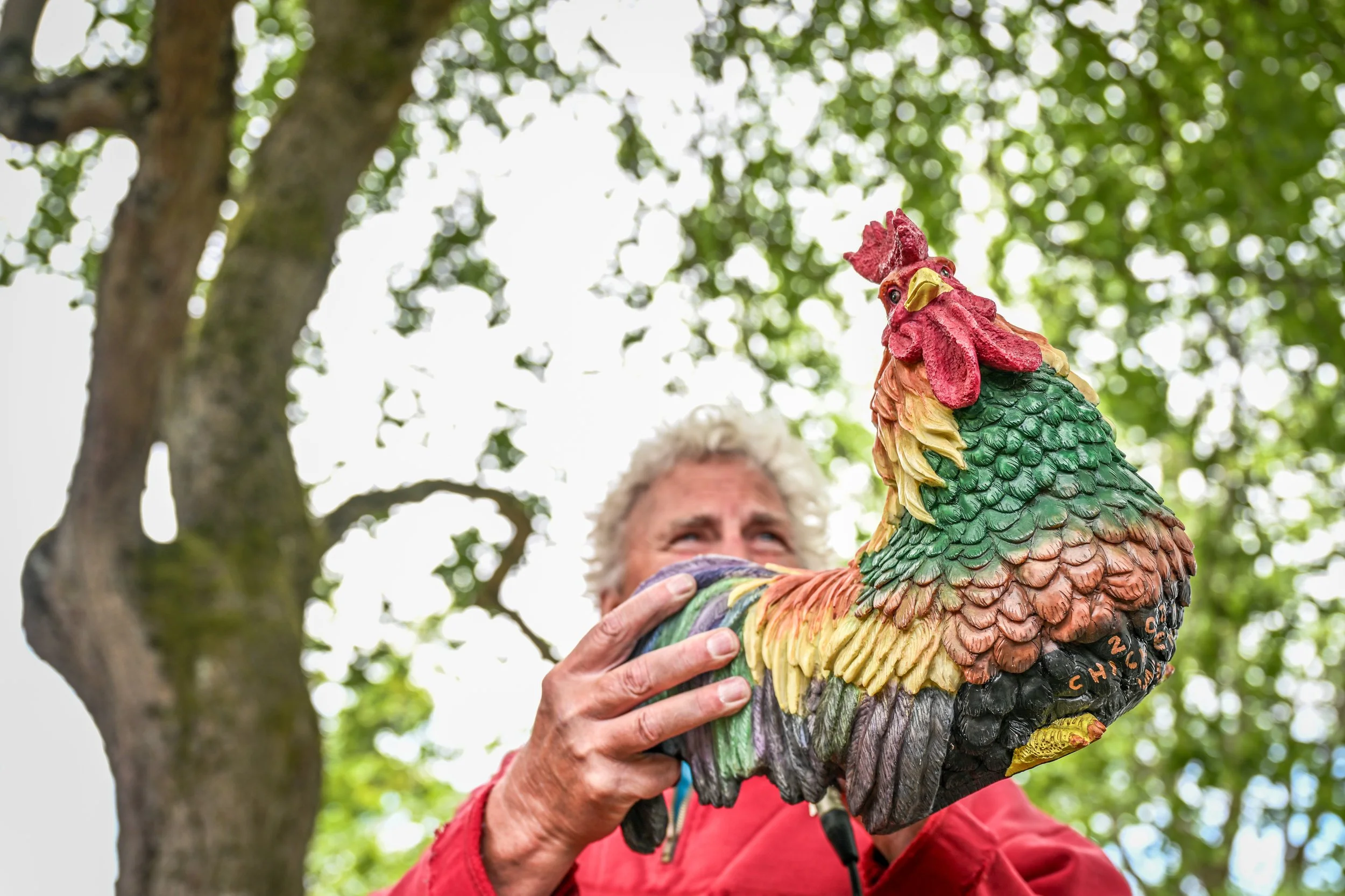 Sunnyland Stomp 2025 Chicken Race-70.jpg