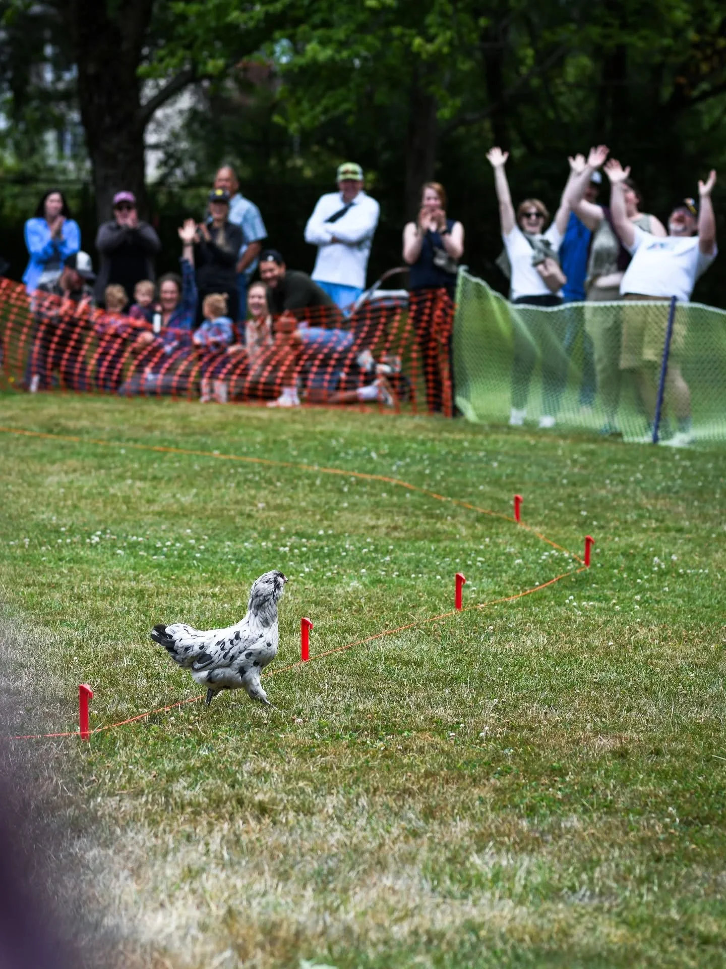 A photo finish! 🏁 It's not too late to be a 2026 Stomp Host ⌛ Be sure to cross the finish line and sign up before midnight tonight (6/6) to be included on the Official Stomp Map! 🔗 sunnylandstomp.com/hostsignup

#sunnylandstomp #sunnylandneighborho
