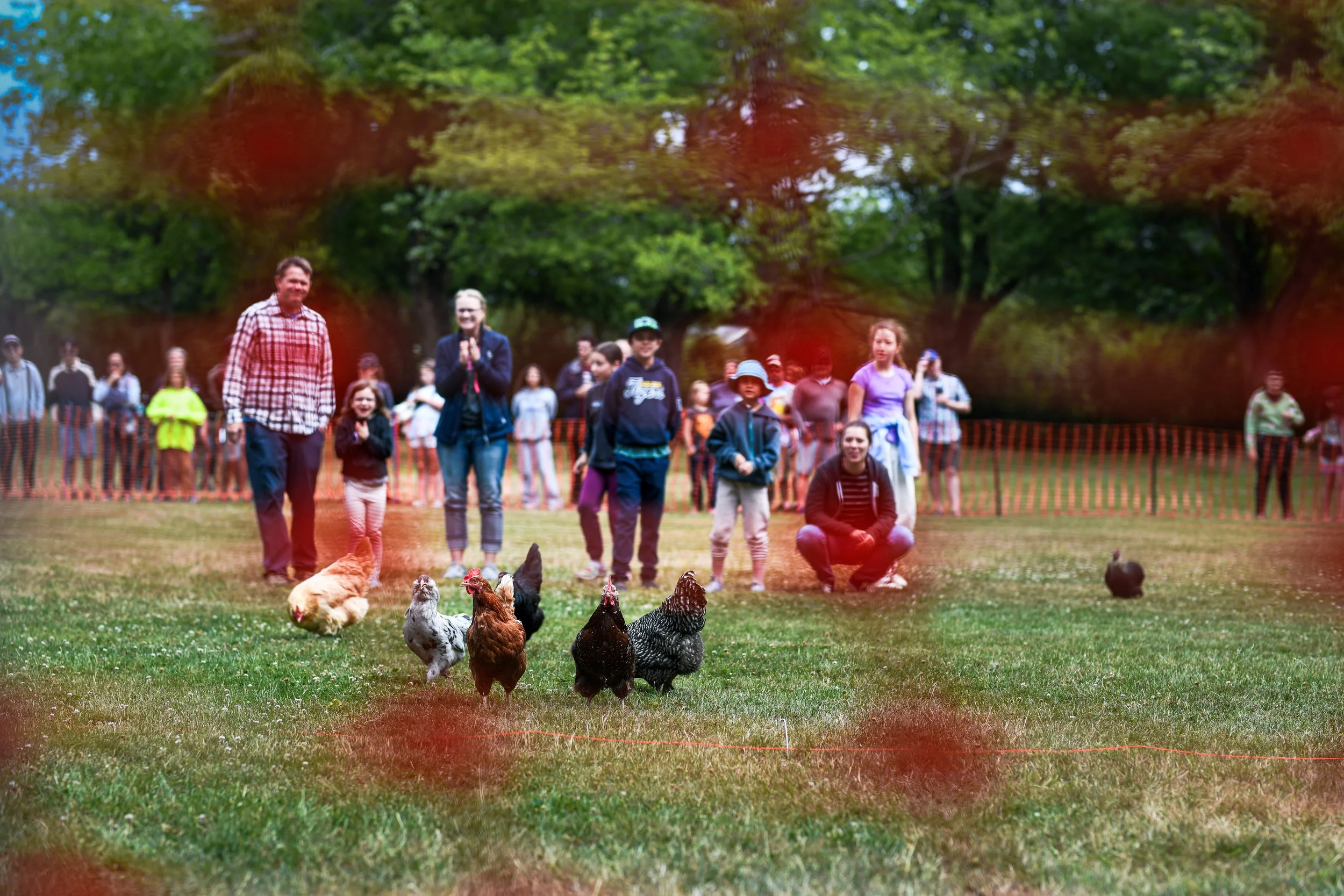 Sunnyland Stomp 2025 Chicken Race-1.jpg