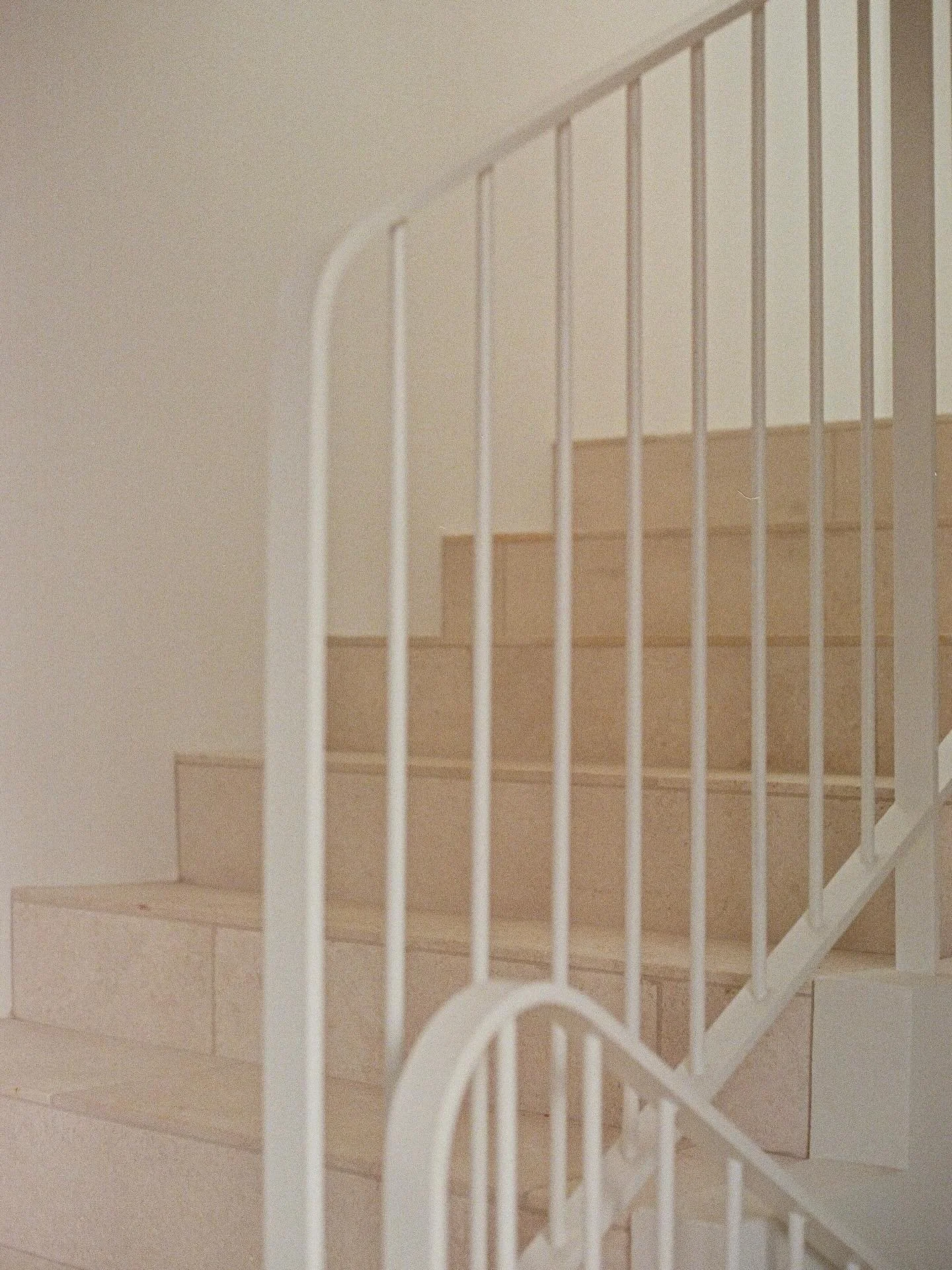 The most stunning limestone staircase for our beautiful Freshwater client @belindanowell. 

@anchorbuildingco 

#limestonetiles #naturalstonedesign #naturalstonesupplier #sydneytiles #tileinspo #northernbeachestiles