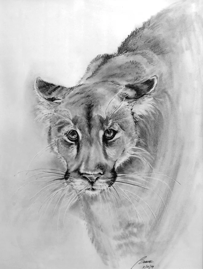 cougar.jpg