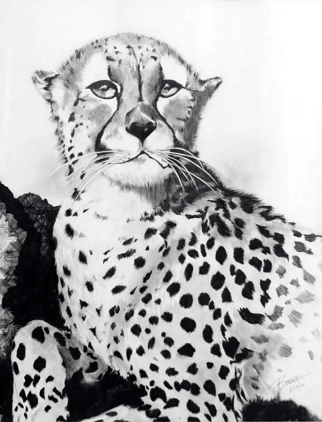 Cheetah.jpg