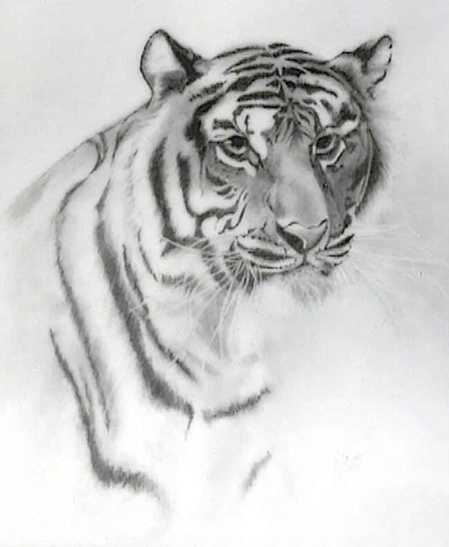 tiger.jpg