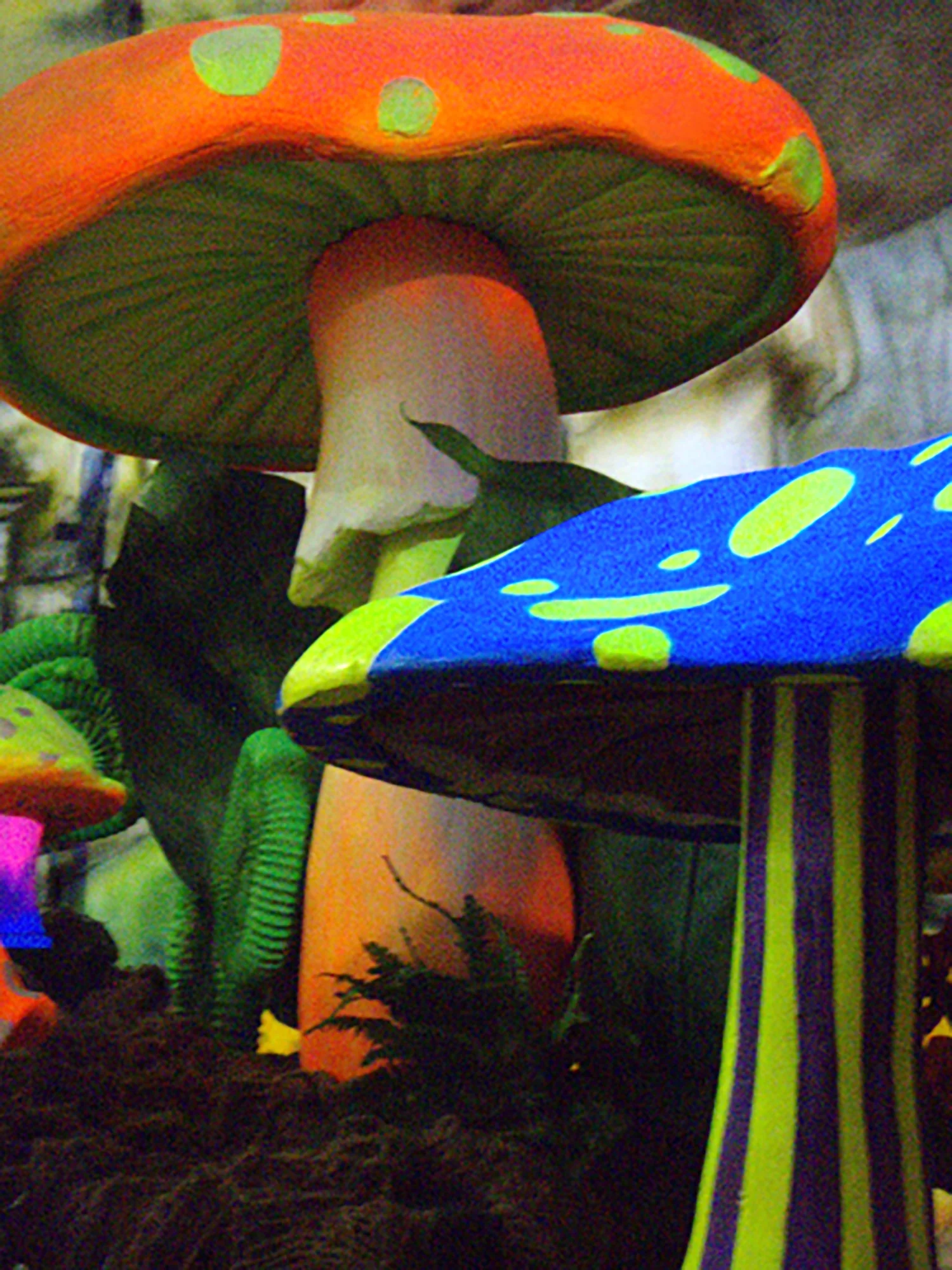 Mushrooms_2.jpg