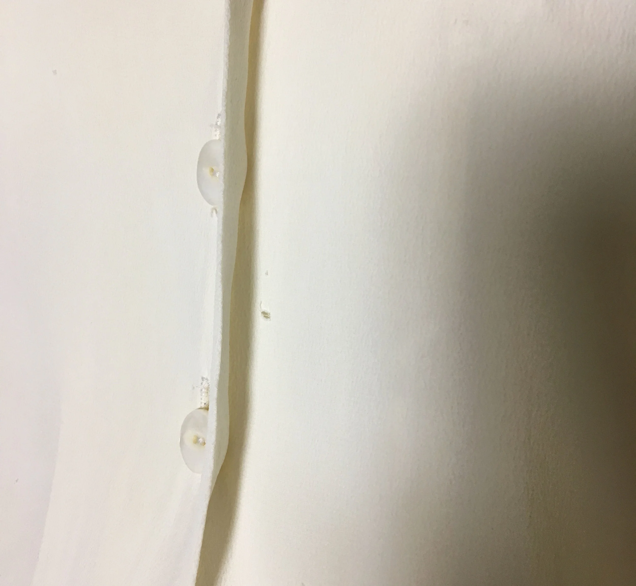 IMG_7668.jpeg