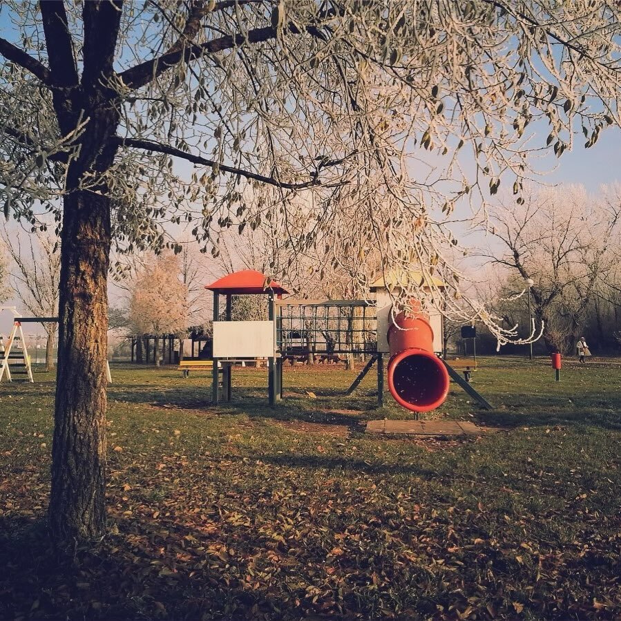 NB&amp;I Grant Awards
This season, the OWEA Neighborhood Beautification and Improvement Committee met and awarded two grants:

- $3,551 for benches, trash cans and a bike rack to enhance the community gathering area/basketball court near Collingwood 