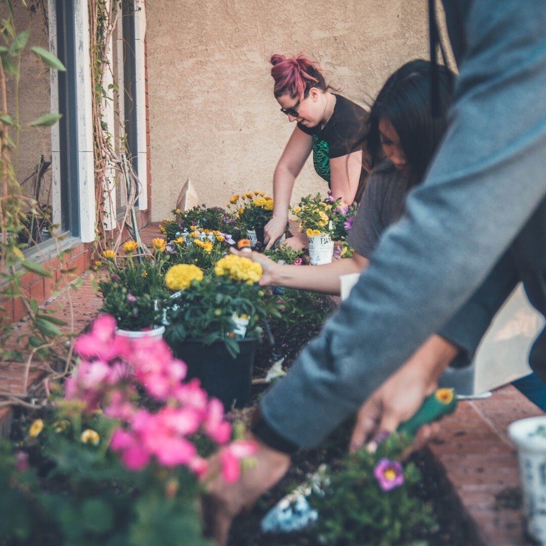 The OWE Cushing-Utopia Addition is asking for volunteers for their Rock the Block event on Saturday, May 18th from 10 am to 1 pm. This spring clean-up is a neighborhood revitalization effort where neighbors help neighbors complete beautification and 