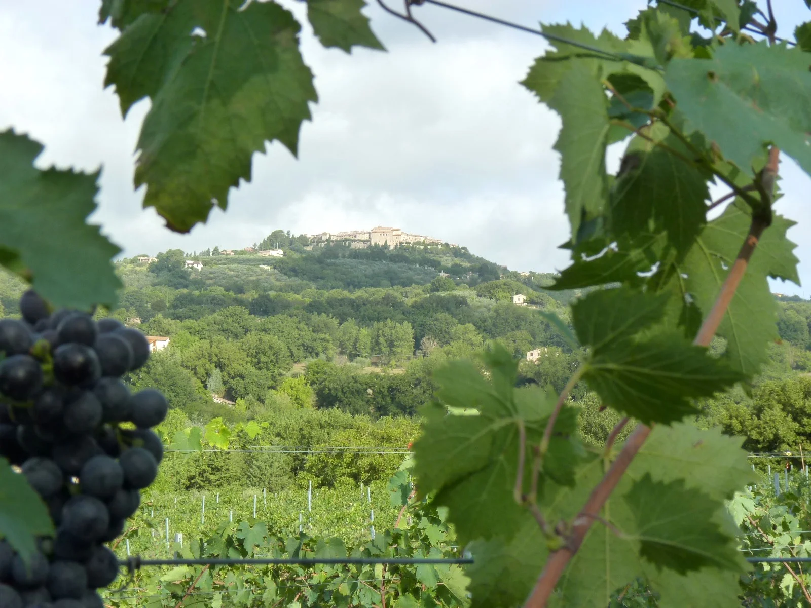 A Farm Stay in Italy
