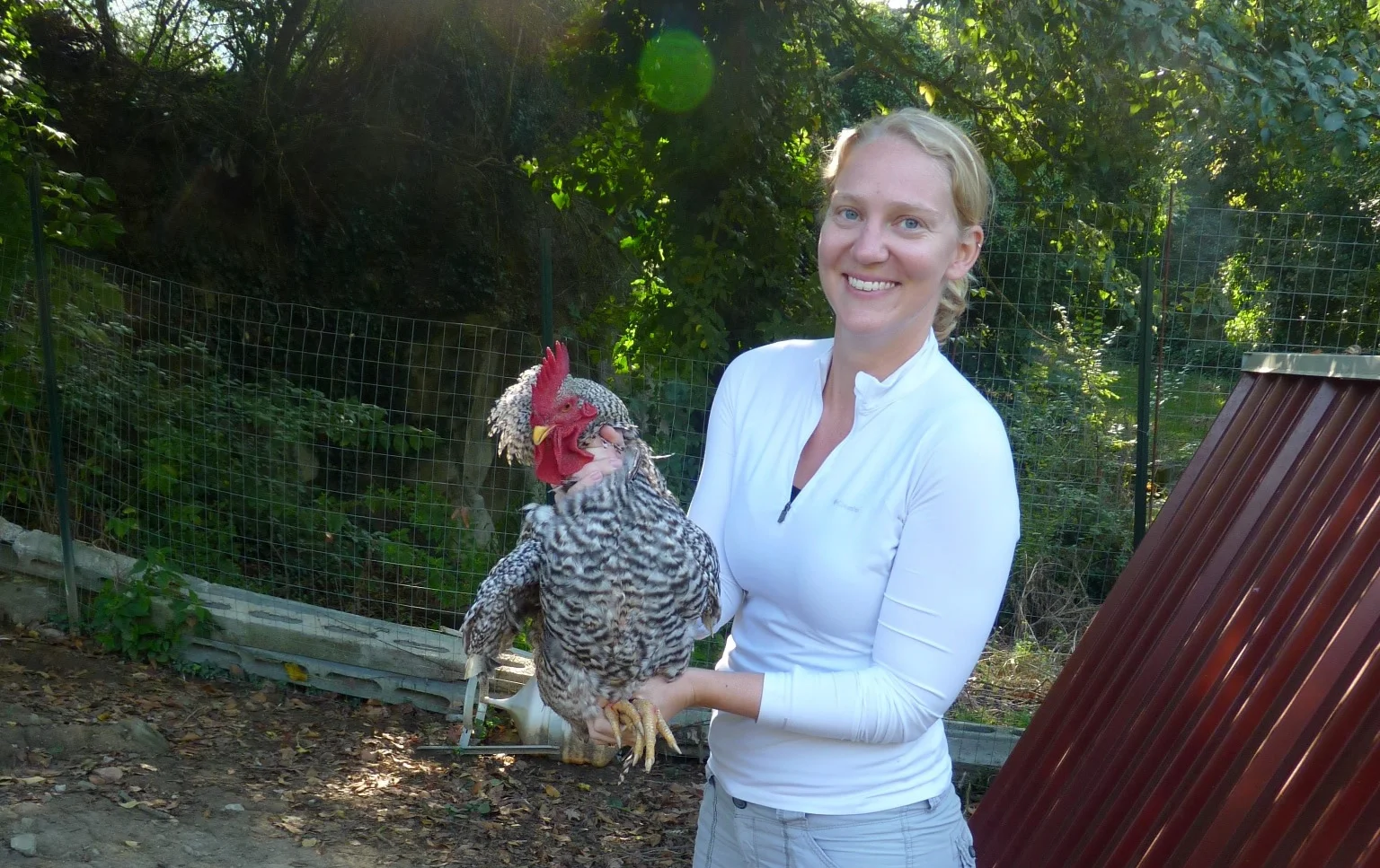 High Heels vs Chickens: The Lives we Lead