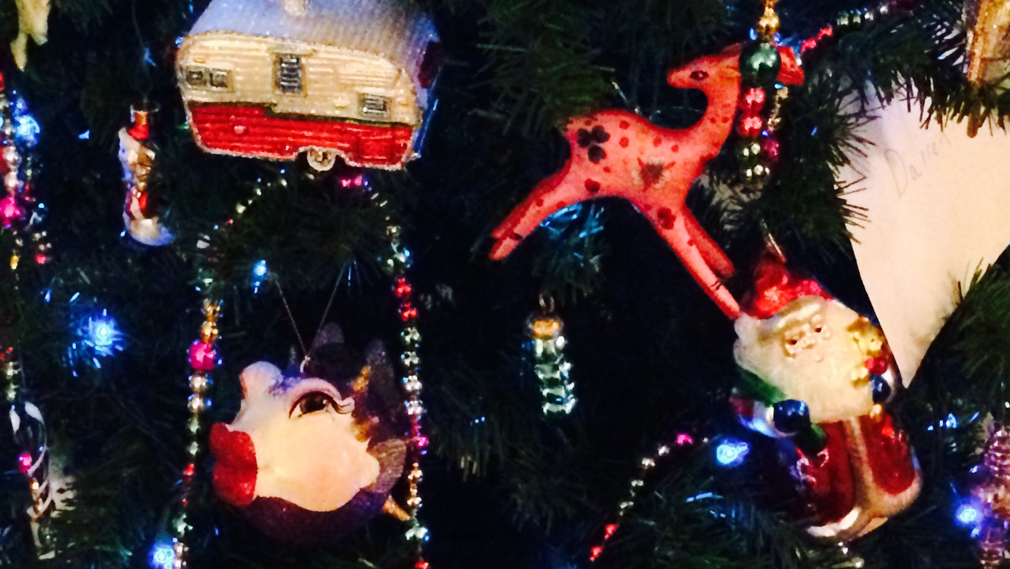 Seeking Holiday Fireflies