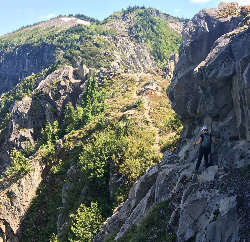 Twenty Months - a Job Journey