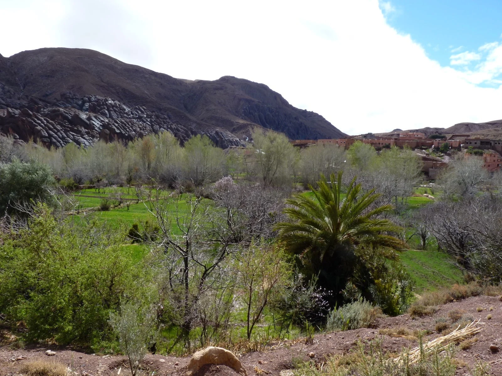 Going back to the stunning Dades Gorge, Morocco.