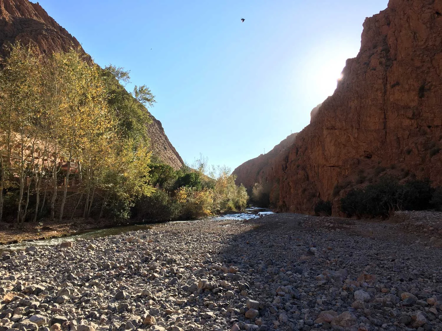 Dades-Gorge.jpg