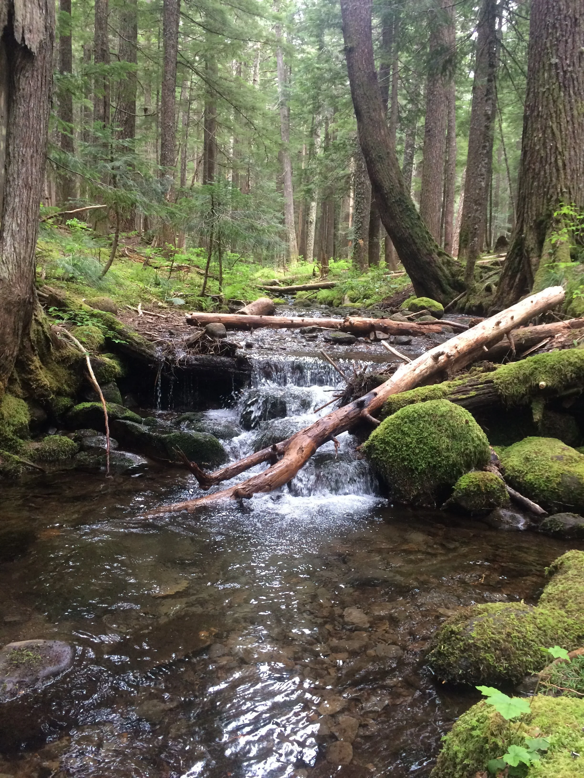 Solo hikes