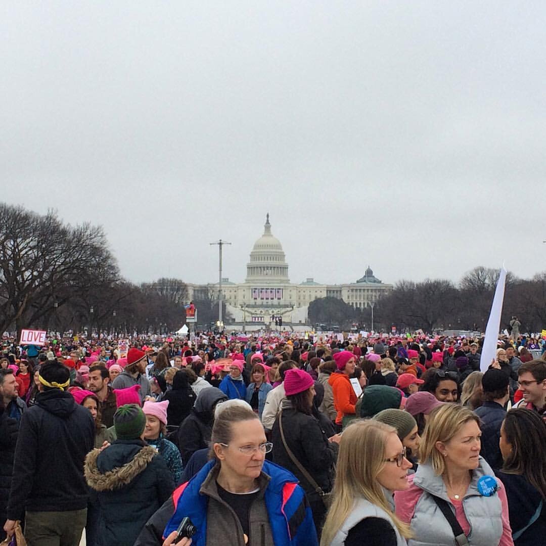 Women's March, DC, 2017