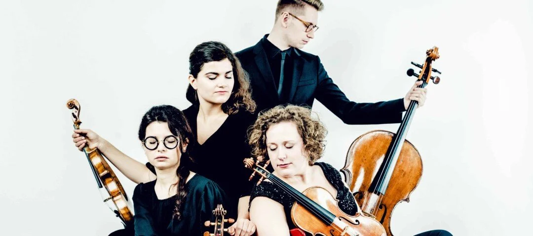 5 TRANSITIONS (Premier)