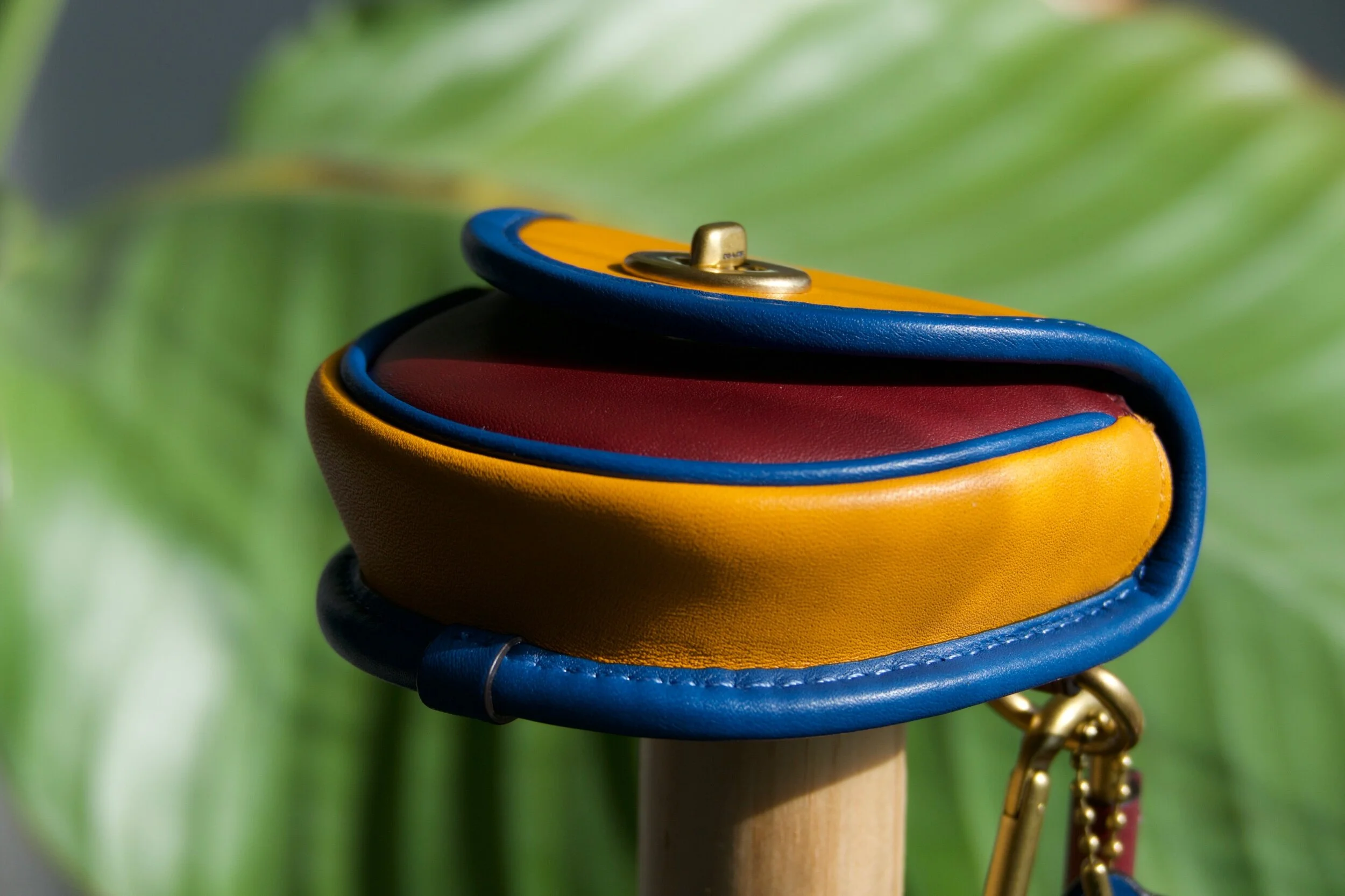 Taken with Leica V Lux 5 50mm f4