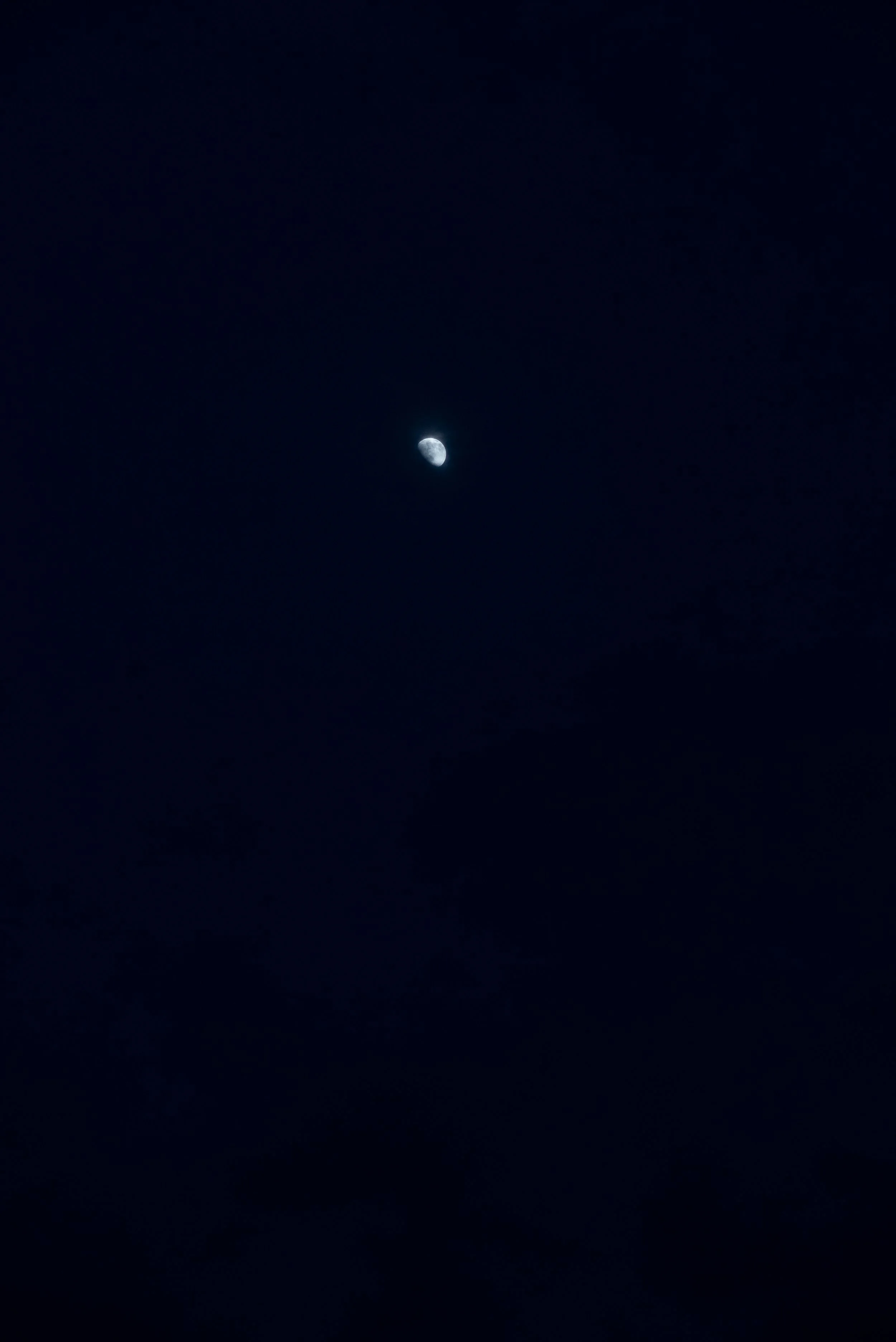 M1002061.jpg