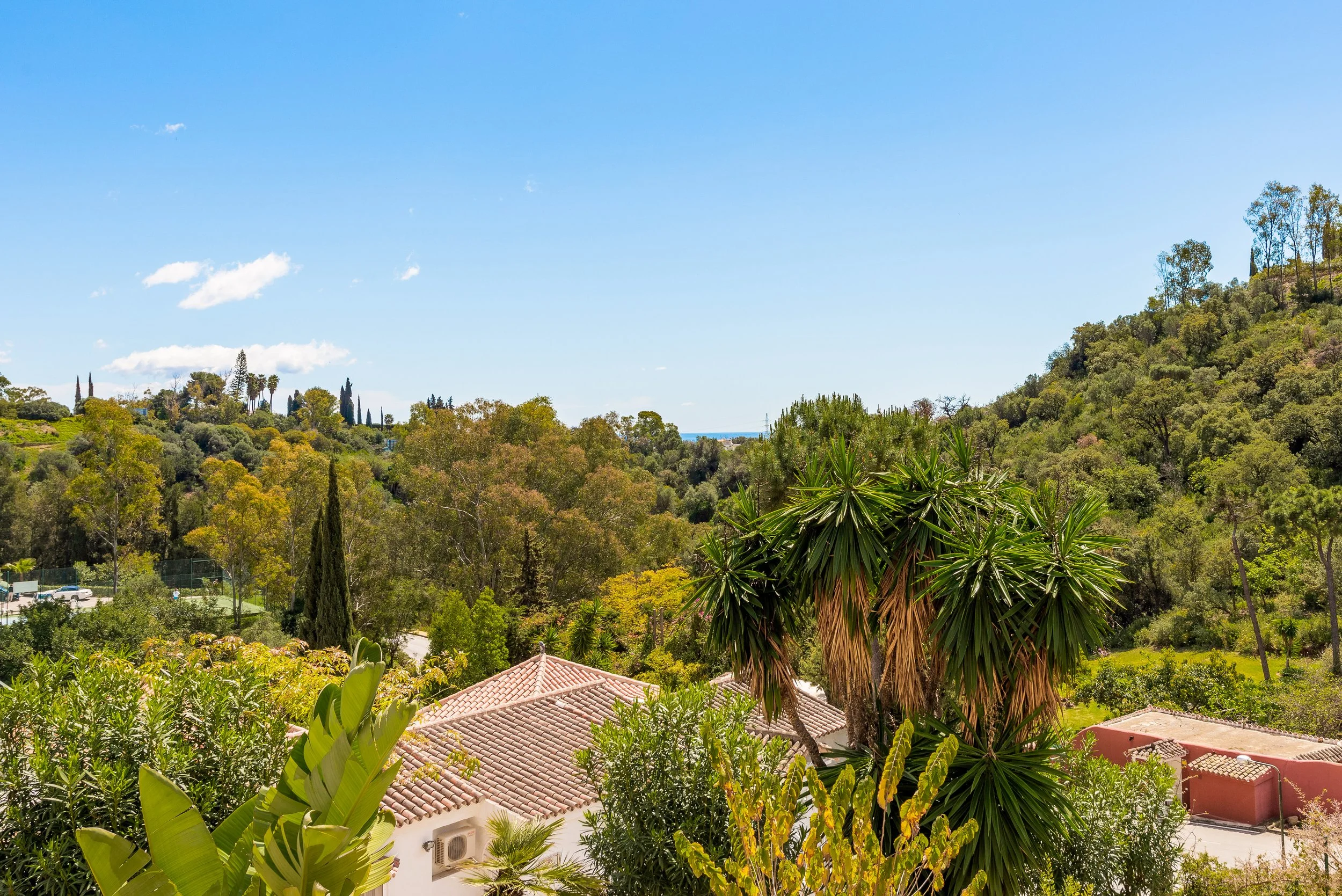 Monte Almendros 28.jpg