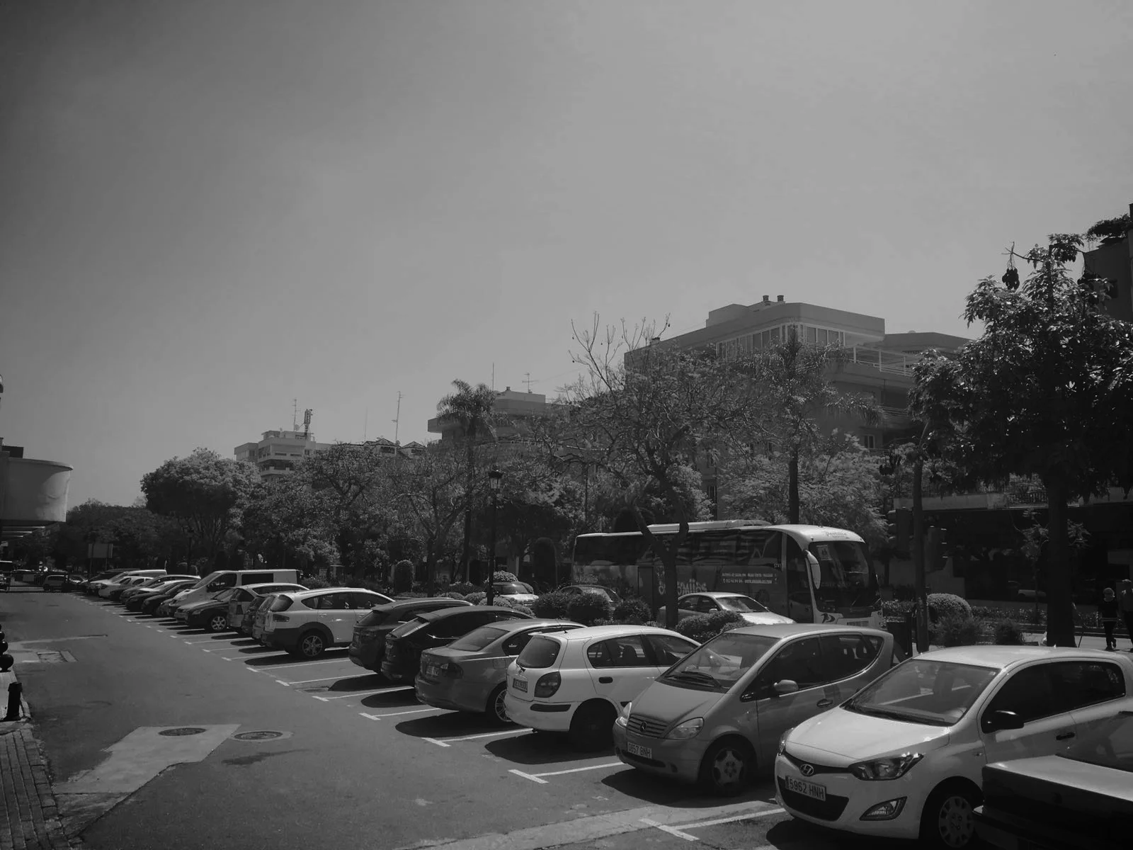 Image F (large).jpeg