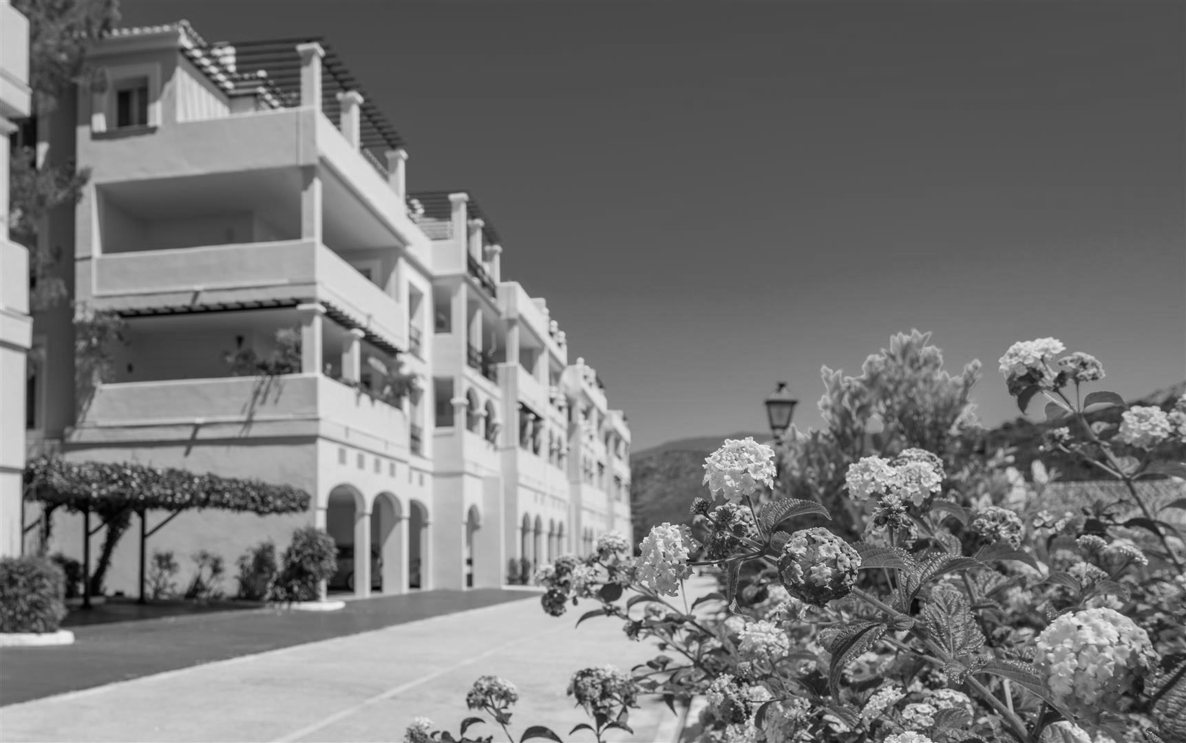 Arcos De La Quinta-C (Large).jpg