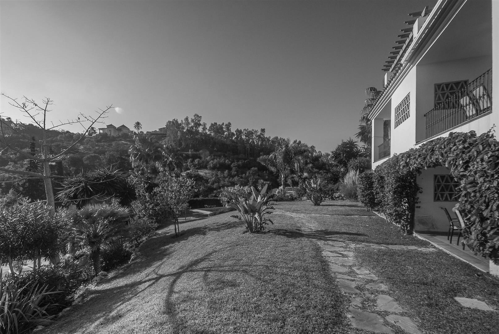 Monte Almendros 3D Puerto del Almendro-O (Large).jpg