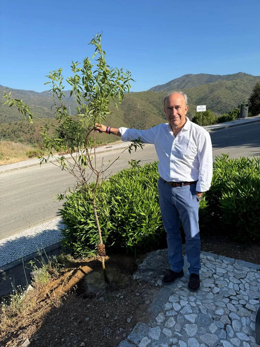 A Tree for a Sale reforestation programme in Marbella and Benahavis