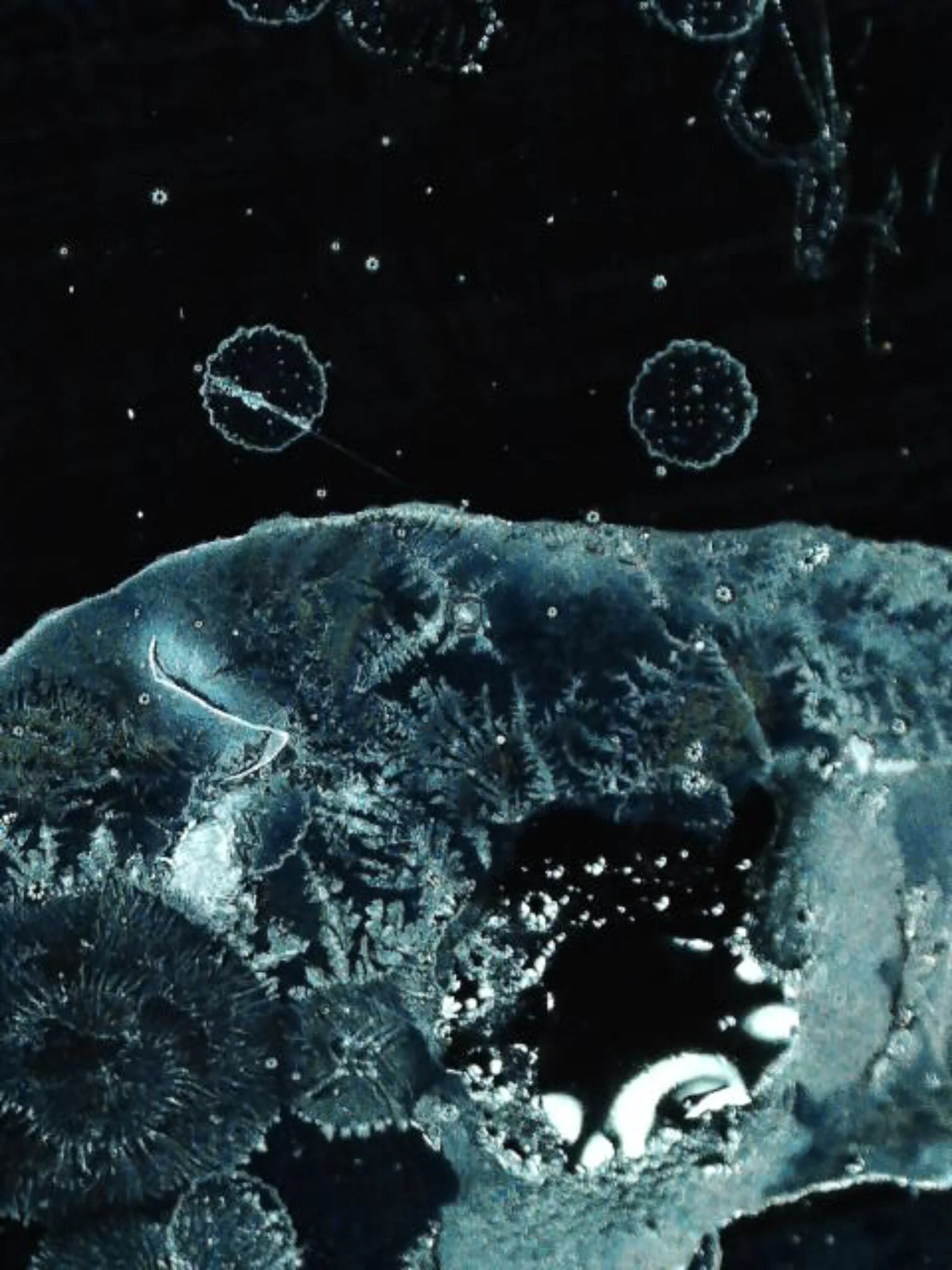 Pasta Water on Stovetop, The Great World Of Small Things, Atelier Winterberger