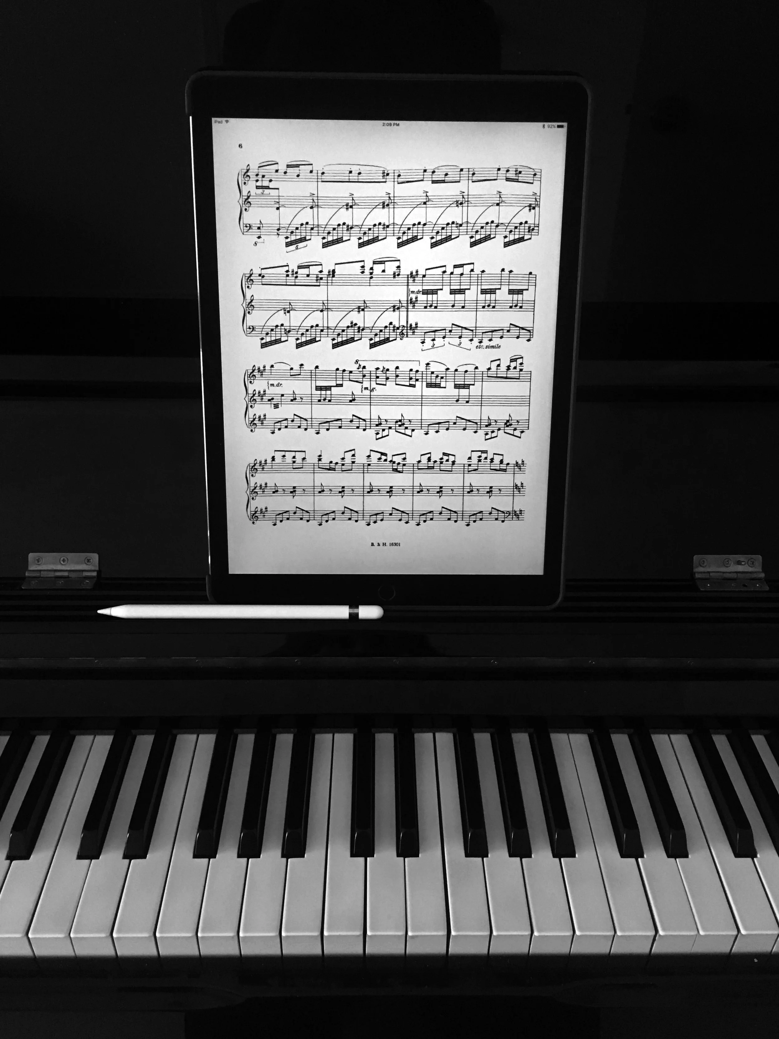 bw82.jpg