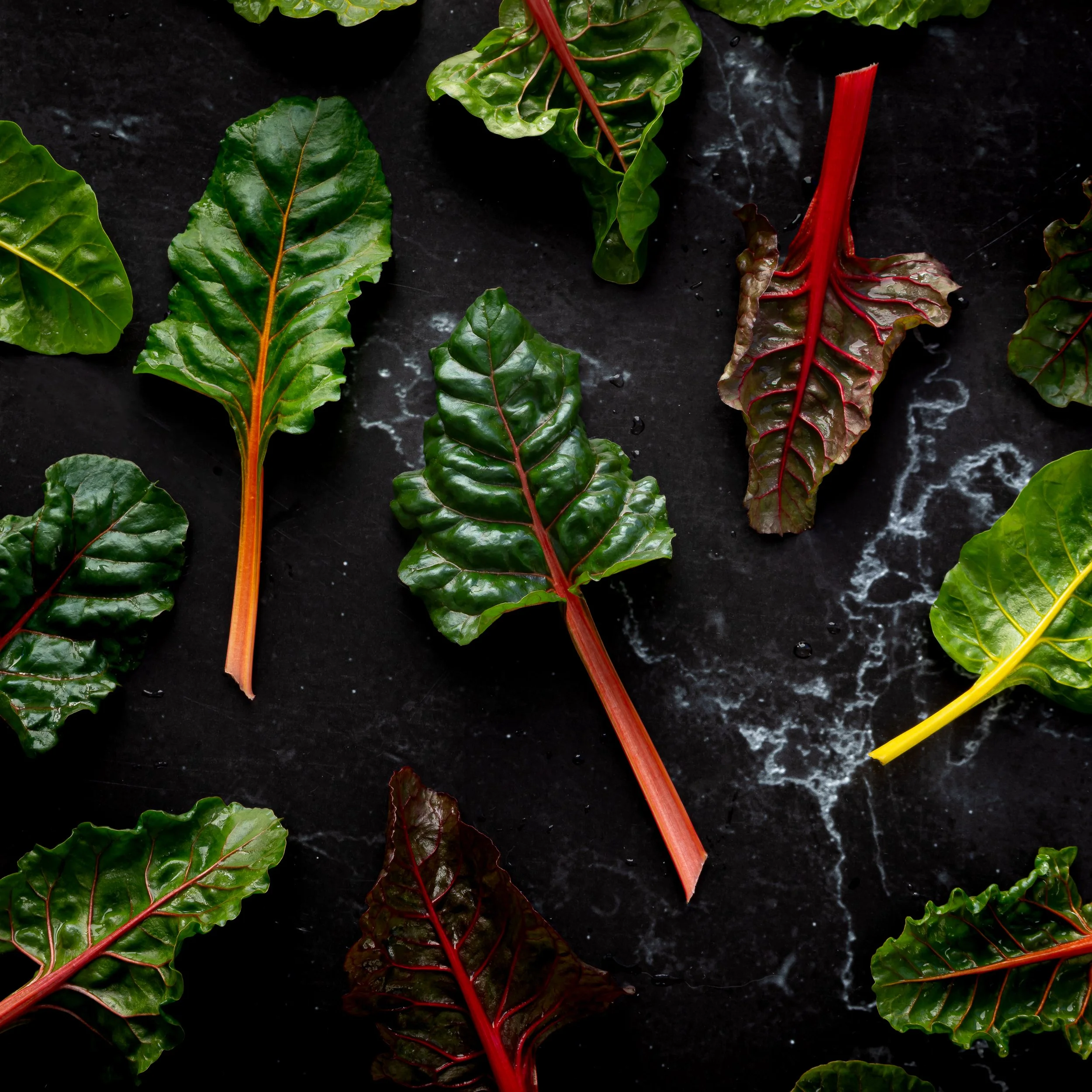 rainbow silverbeet-2.jpg