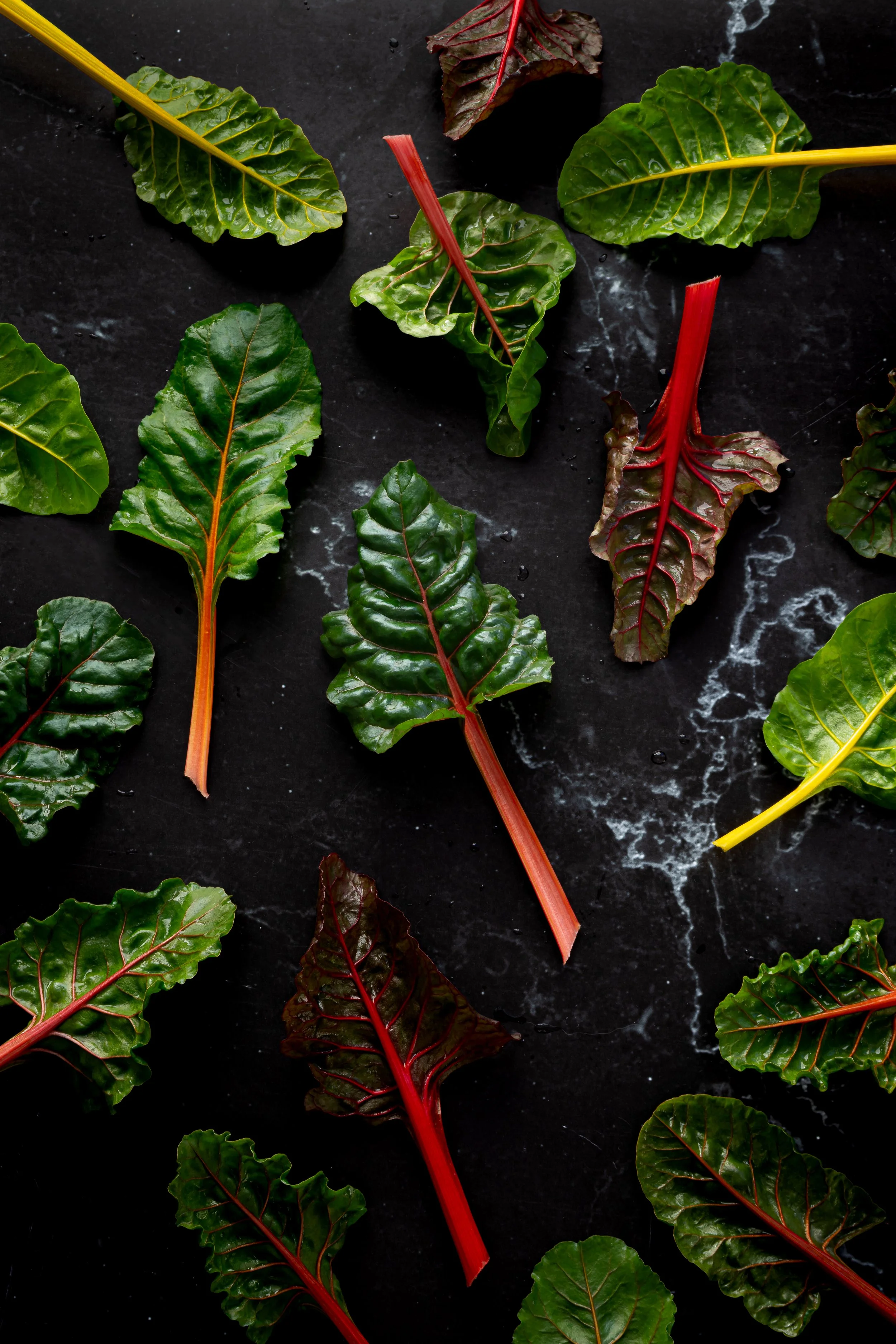 rainbow silverbeet.jpg