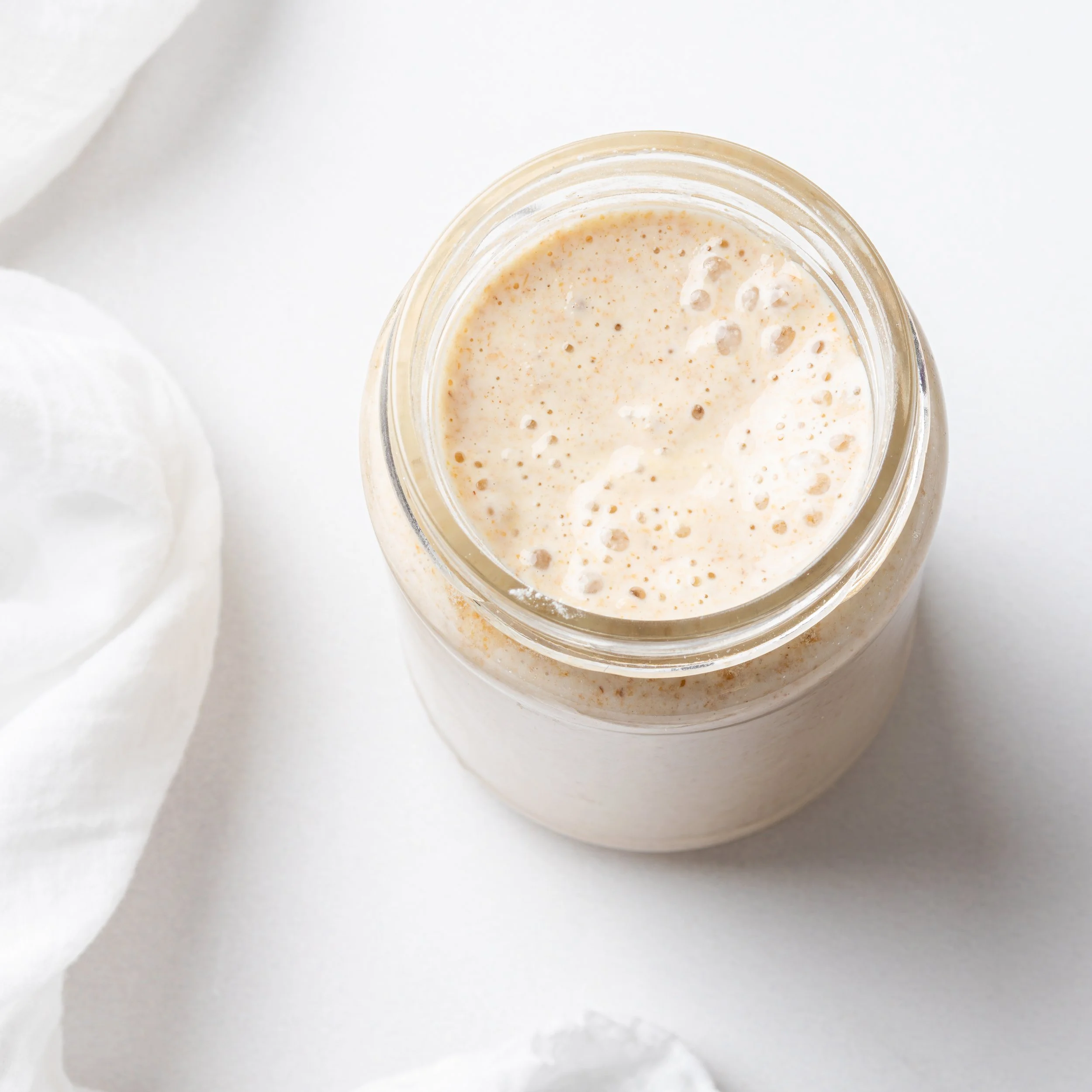 Sourdough Starter