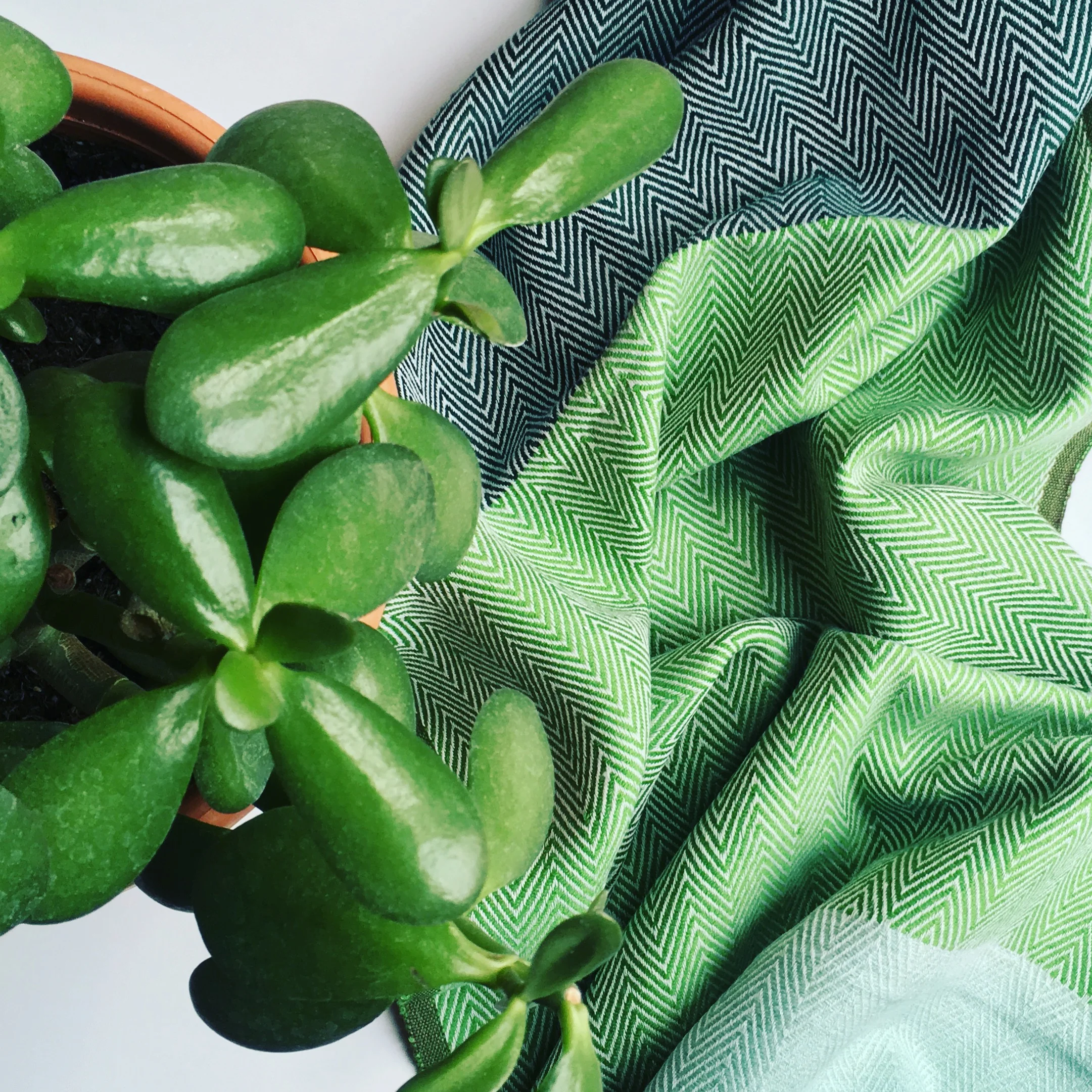 5 Reasons to Love Autumn Fashion