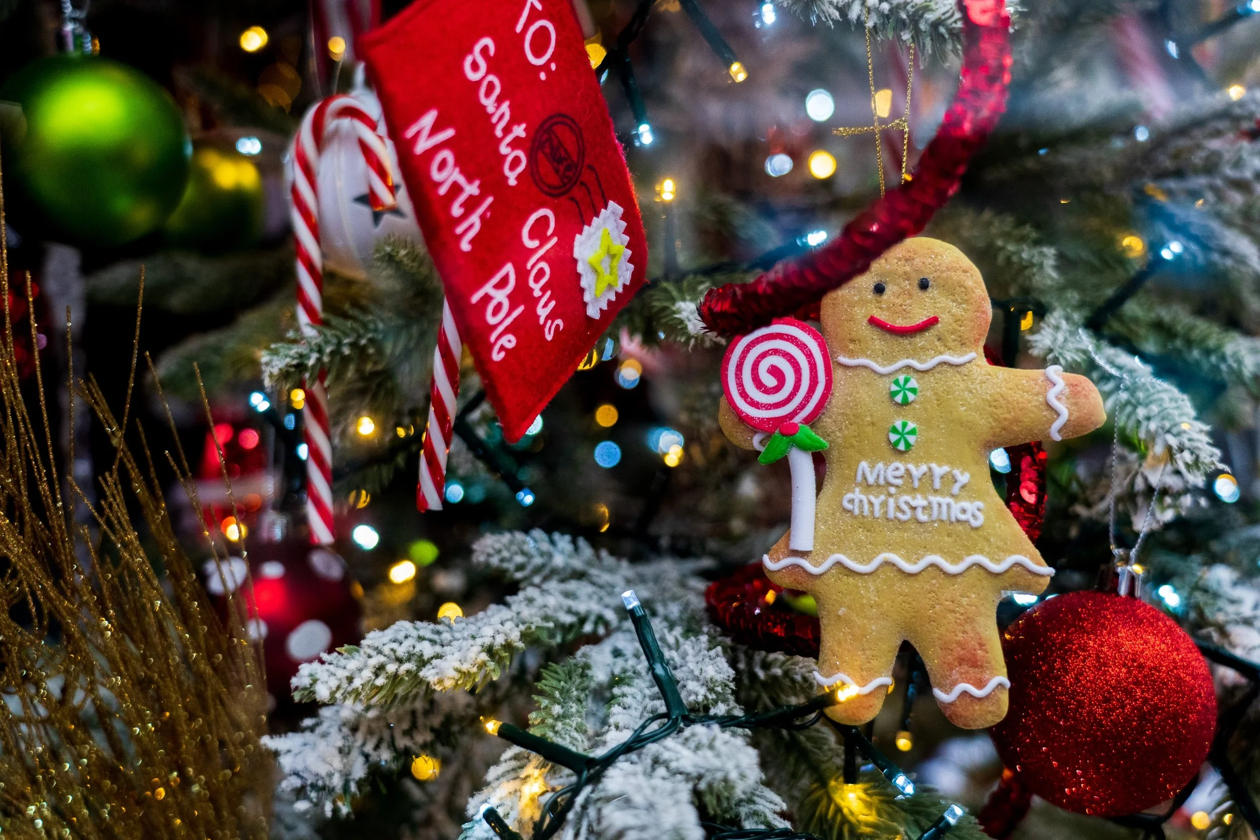 Ginger Bread cookie hanging on festive christmas tree