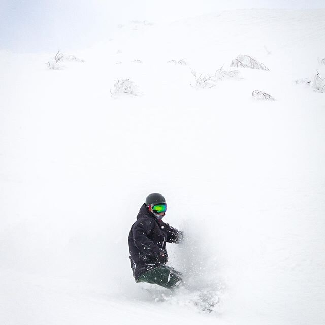 @e_b_89 charging down the peak. Where are all the people in this open deep pow field ? Not in the same place we are going 🤩 
#peoplecamps #peoplecamps2020
