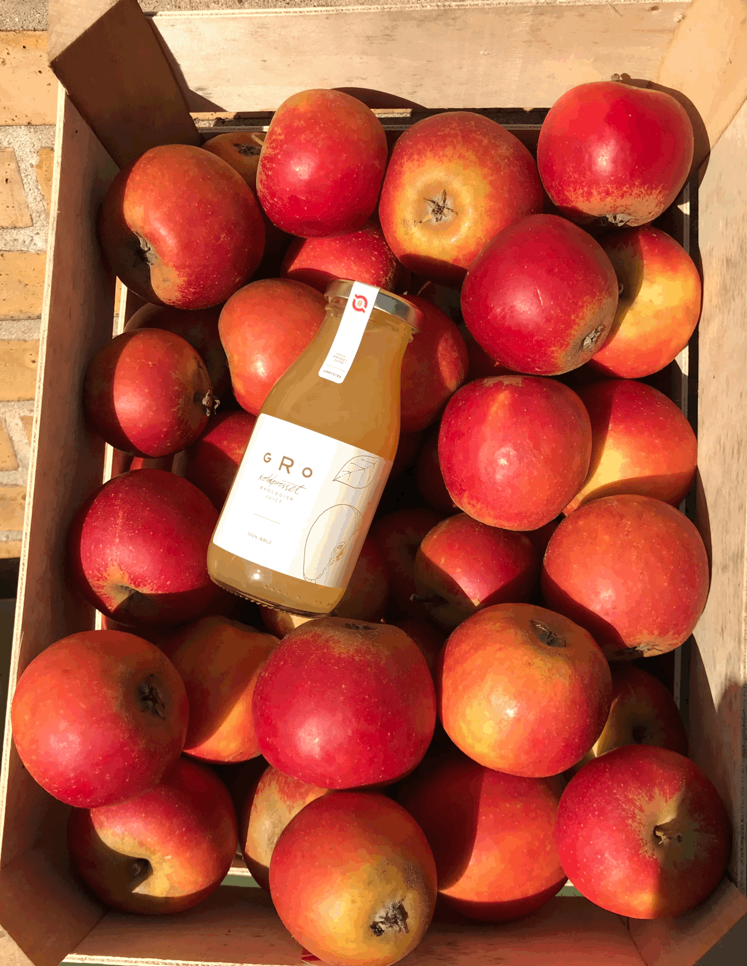 Æblemost 250ml Øko