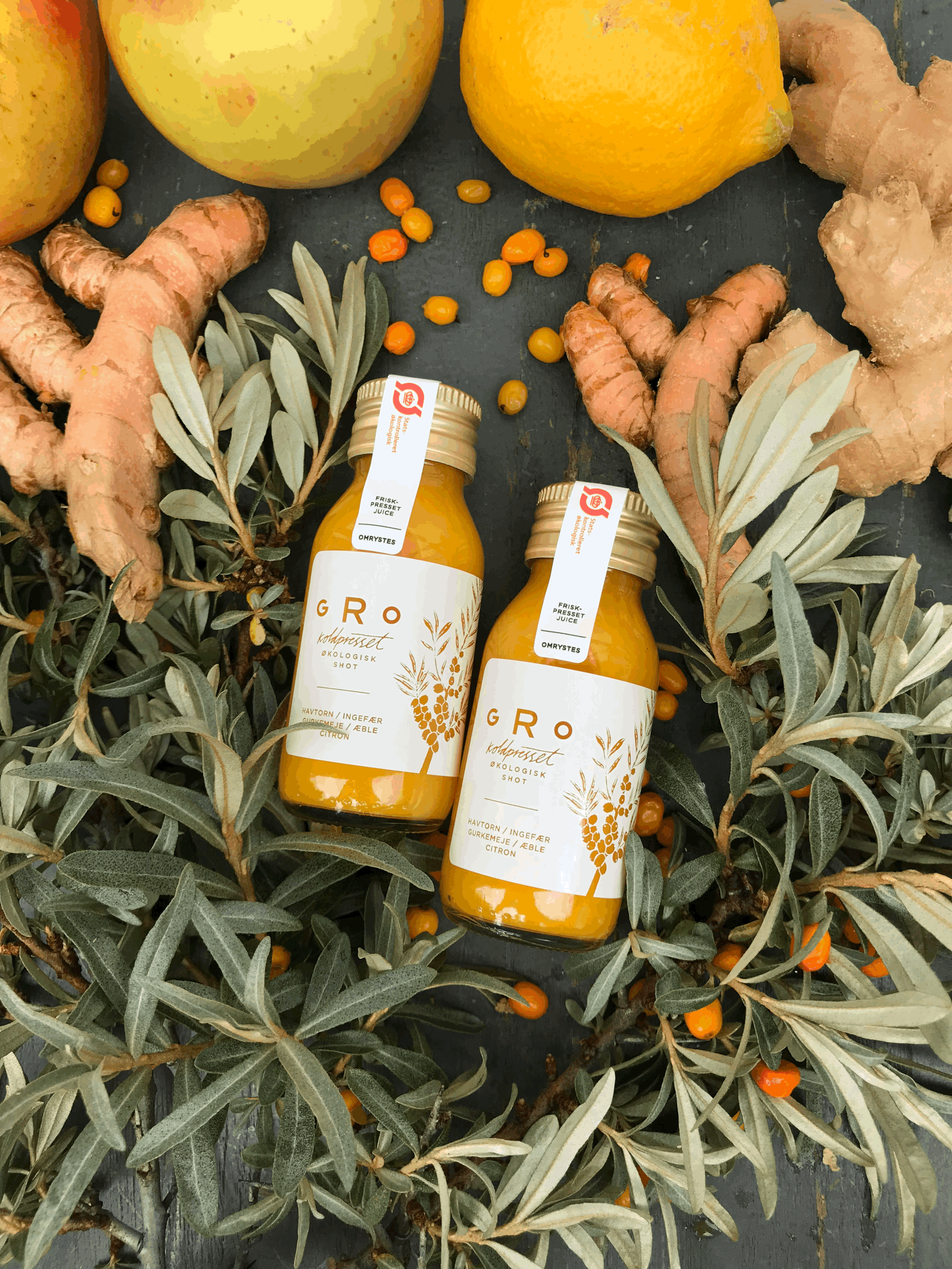 Gurkemeje/Havtornshot 60ml Øko